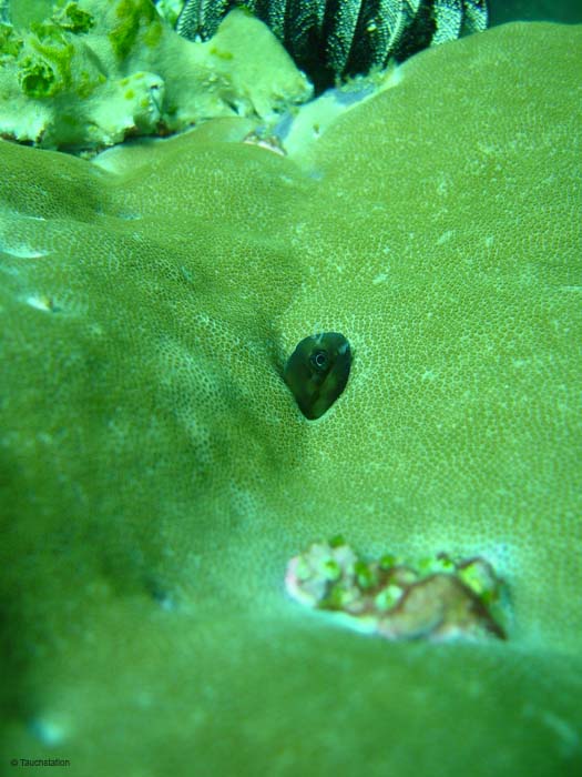 DSC01260