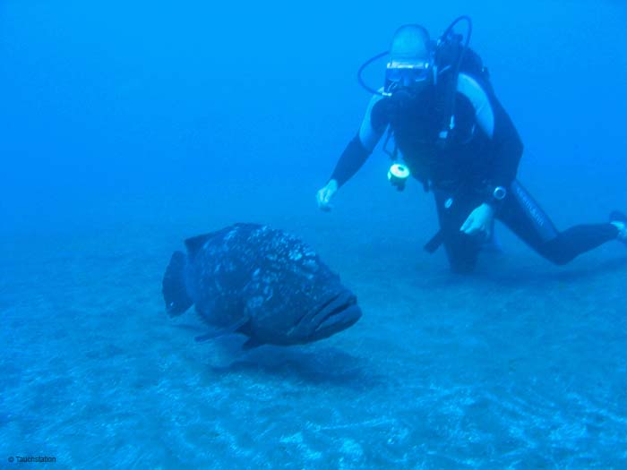 Madeira_UW_4852
