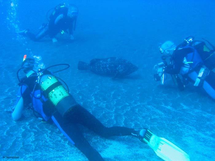 Madeira_UW_4854
