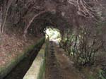 Madeira_4769