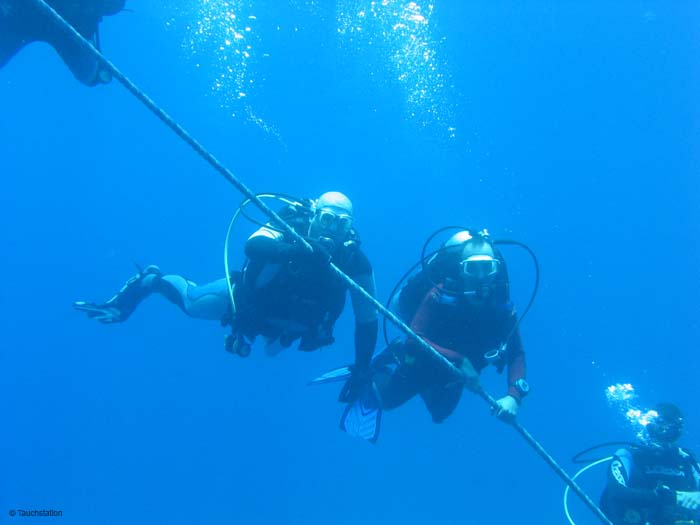 Taucher_2152