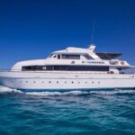 TB20neu2010-768×516