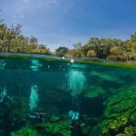 Mexiko-Unterwasserwelt-Pro-Dive_540x340-ID2101021-f8752d62d5c210ee8482cc1fbbe4d8a4